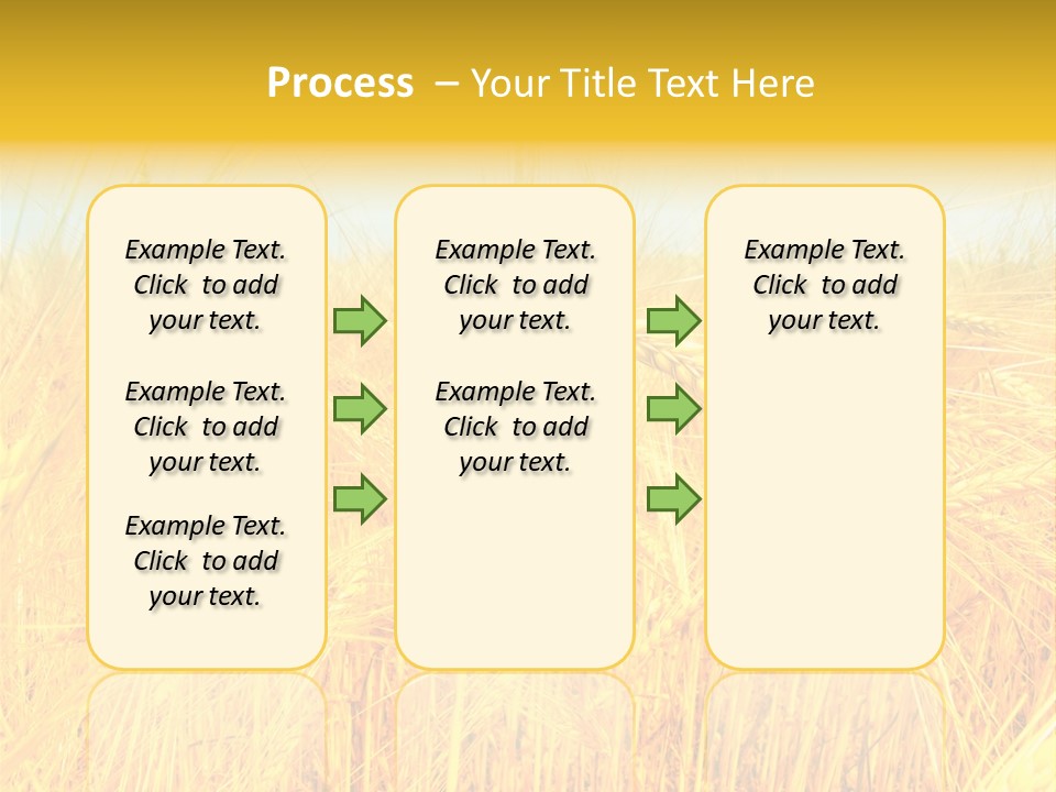 Field Barley Wheat PowerPoint Template