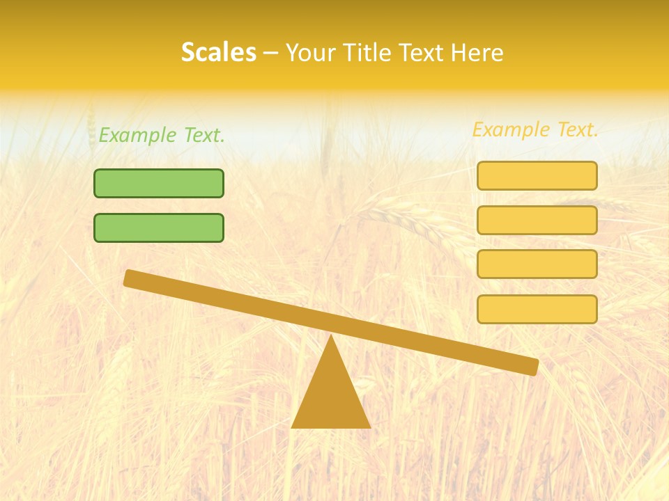 Field Barley Wheat PowerPoint Template