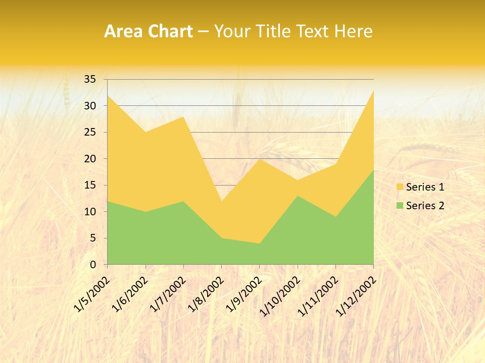 Field Barley Wheat PowerPoint Template