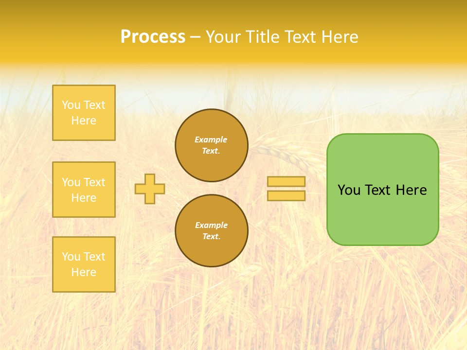 Field Barley Wheat PowerPoint Template