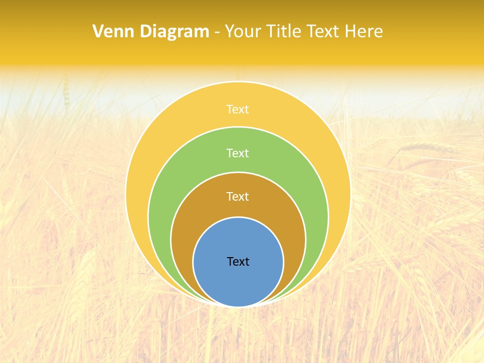 Field Barley Wheat PowerPoint Template