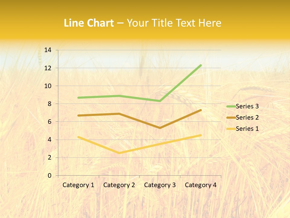 Field Barley Wheat PowerPoint Template