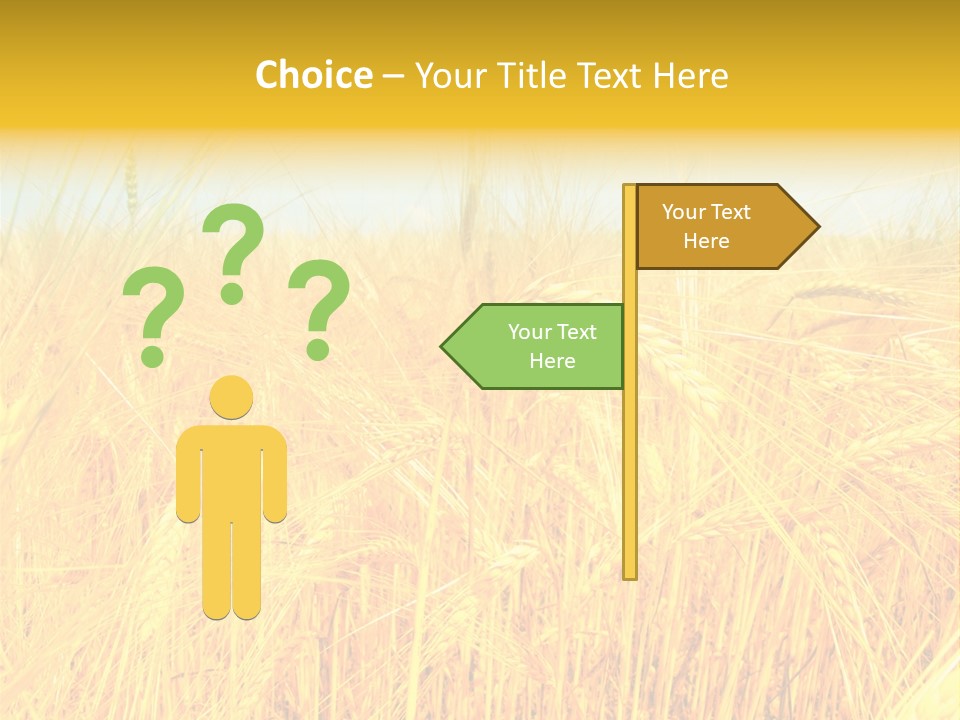 Field Barley Wheat PowerPoint Template
