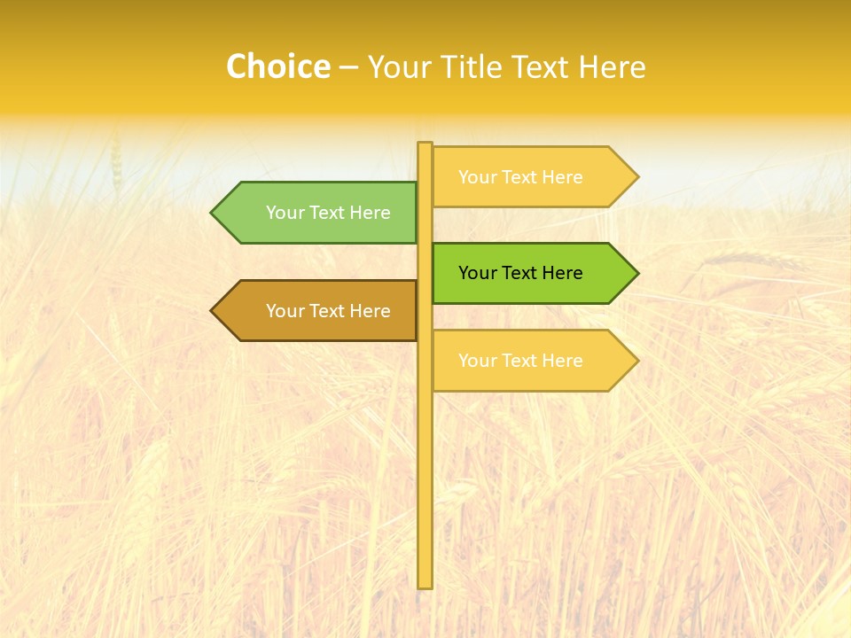 Field Barley Wheat PowerPoint Template