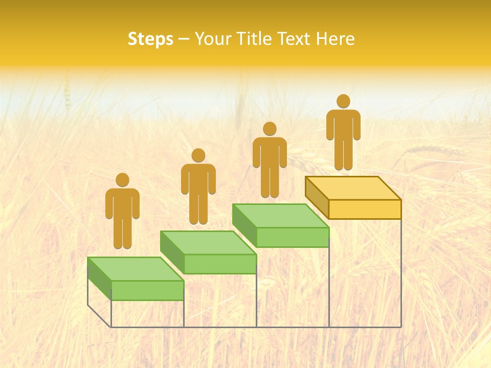 Field Barley Wheat PowerPoint Template