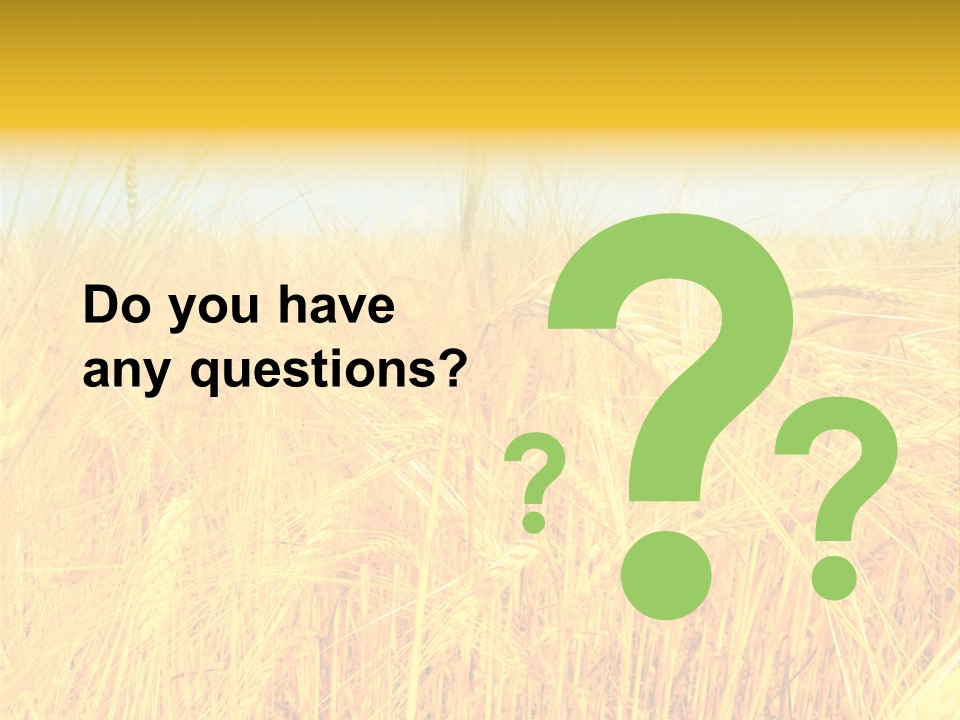 Field Barley Wheat PowerPoint Template