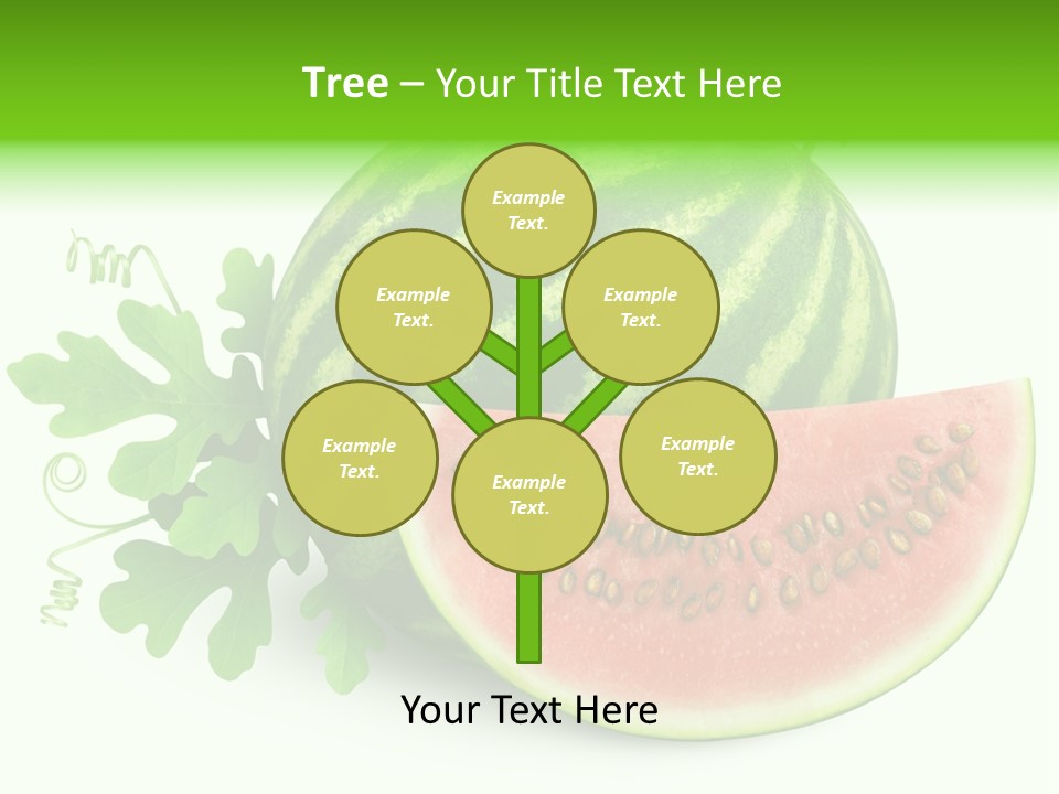 Watermelon Slice Section PowerPoint Template