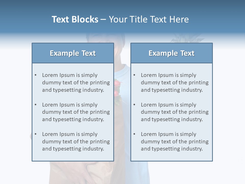 Shopper Customer Vitamin PowerPoint Template