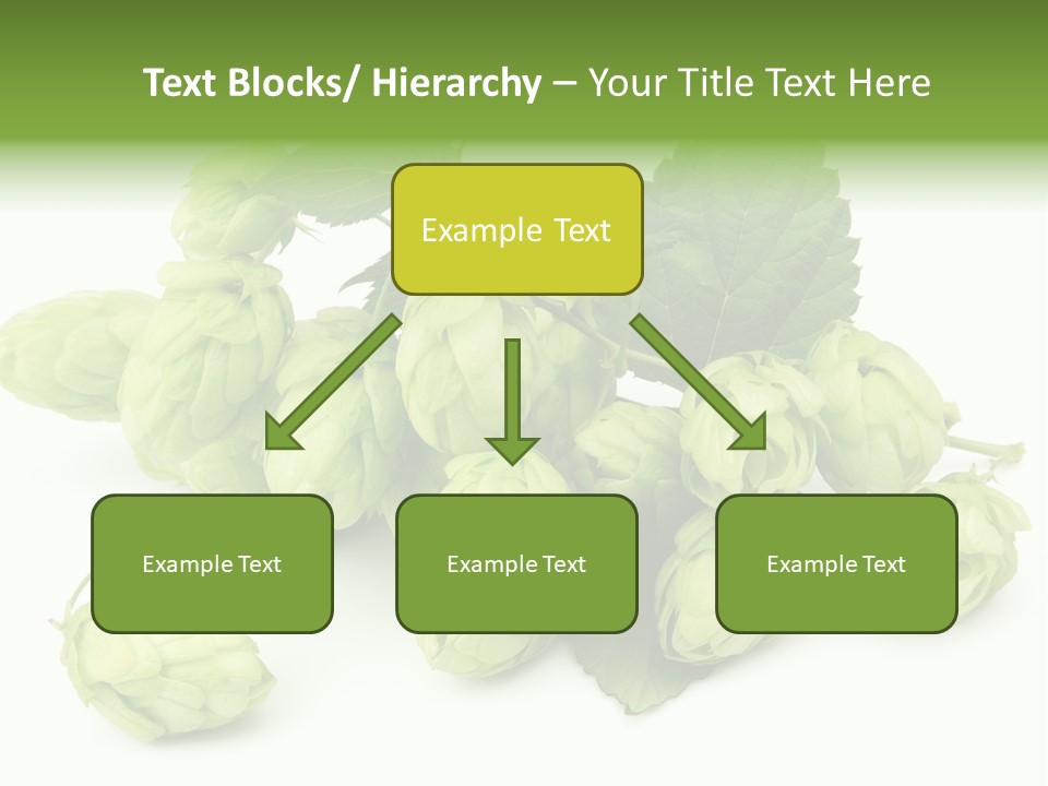 Close Up Nature Brewery PowerPoint Template