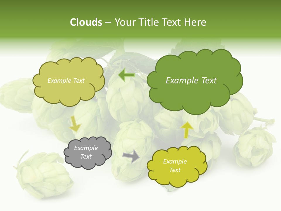 Close Up Nature Brewery PowerPoint Template