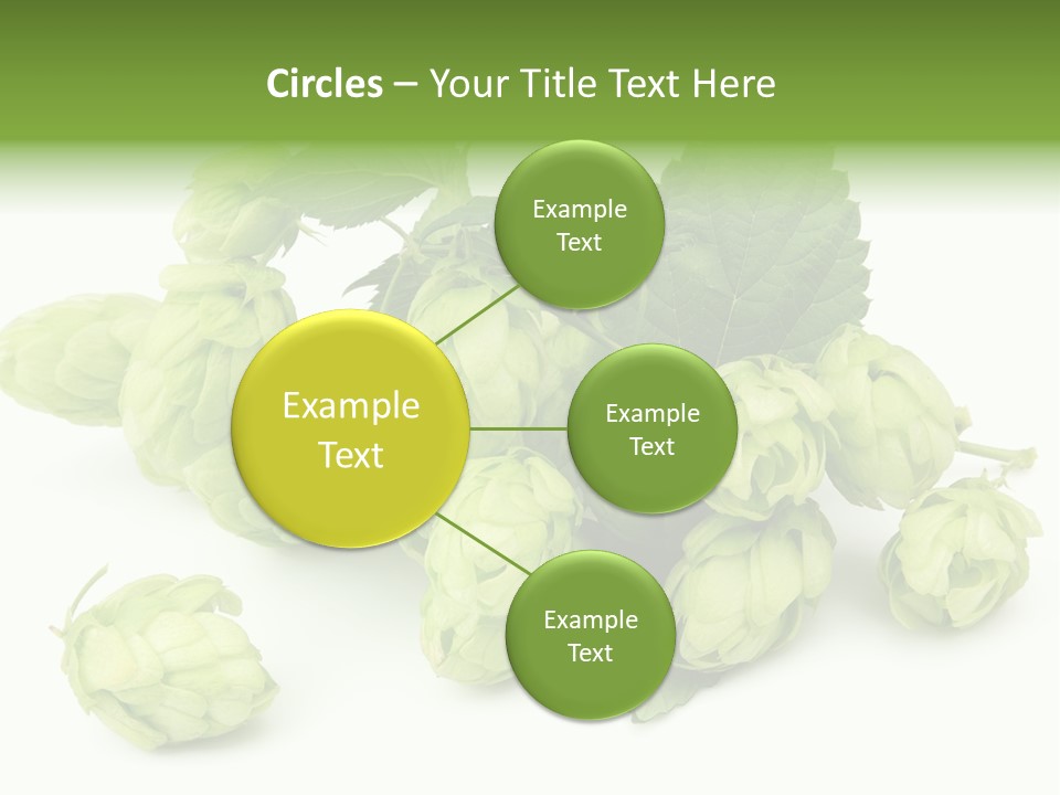 Close Up Nature Brewery PowerPoint Template