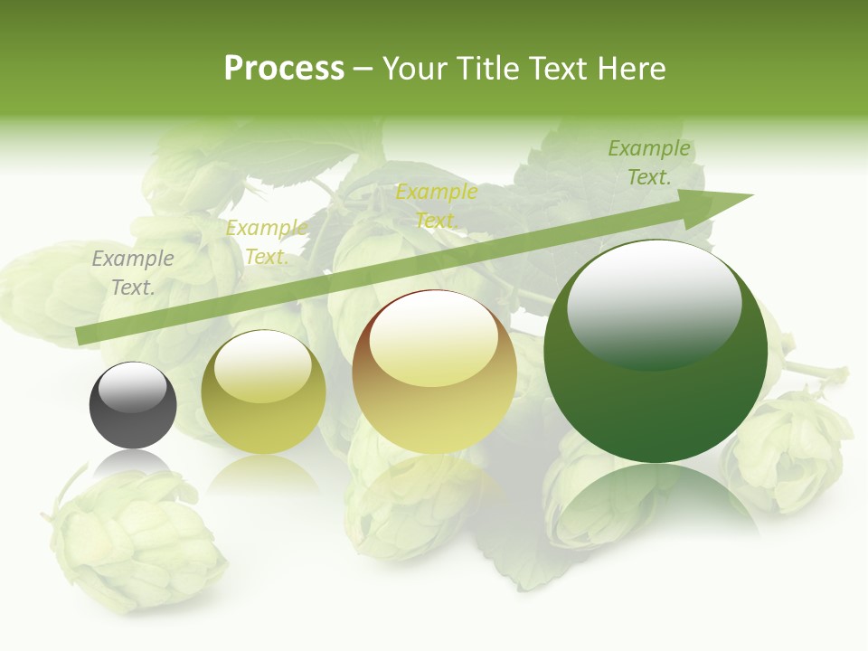 Close Up Nature Brewery PowerPoint Template