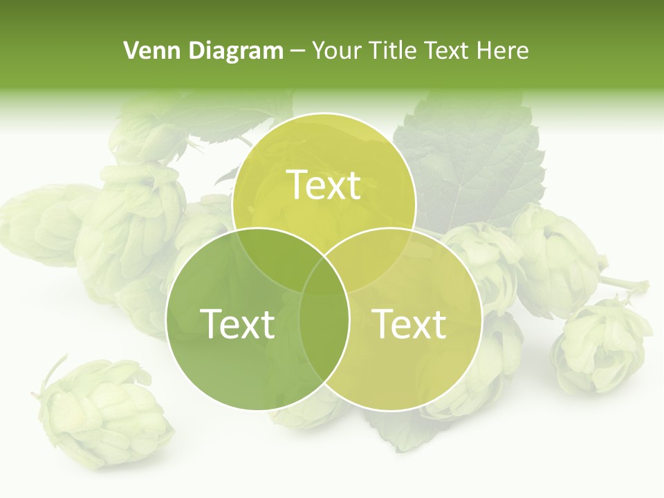 Close Up Nature Brewery PowerPoint Template