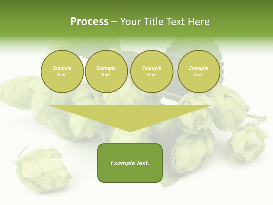 Close Up Nature Brewery PowerPoint Template
