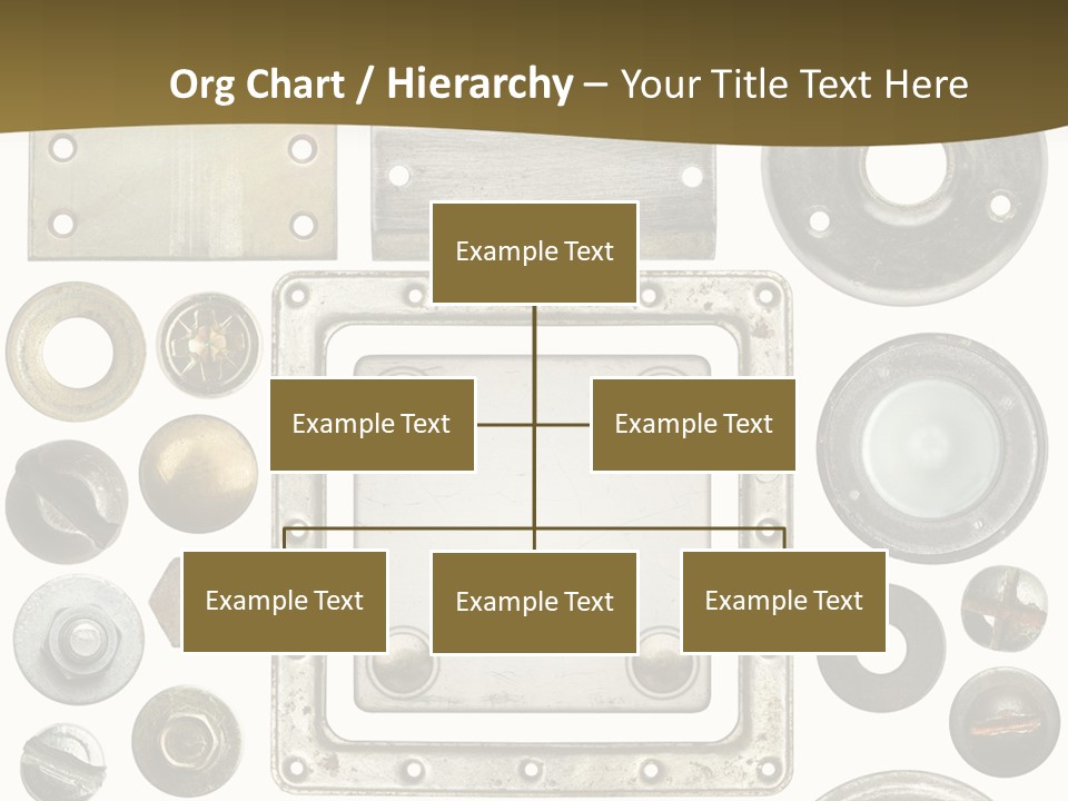 Head Nut Design PowerPoint Template