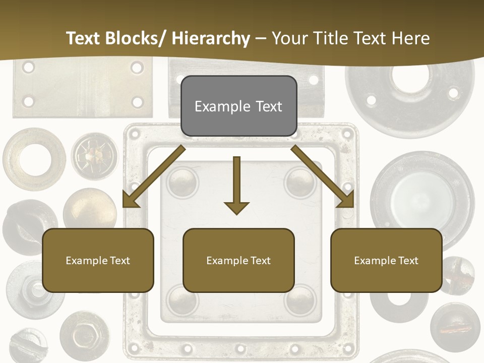 Head Nut Design PowerPoint Template