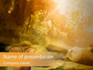 Creme Cream Brown PowerPoint Template