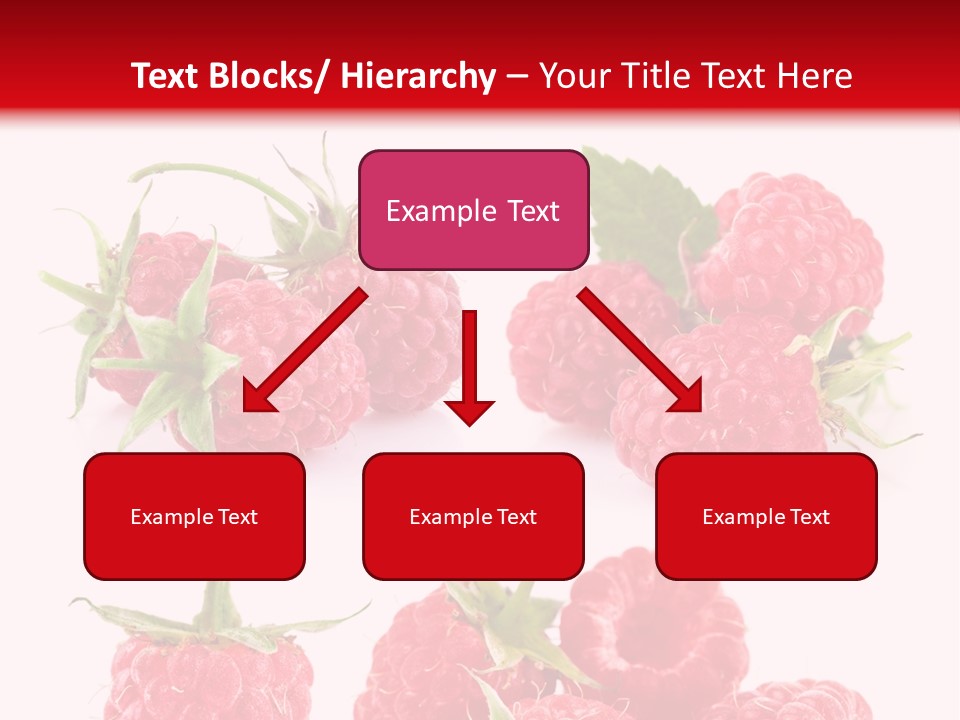 Organic Natural Plant PowerPoint Template