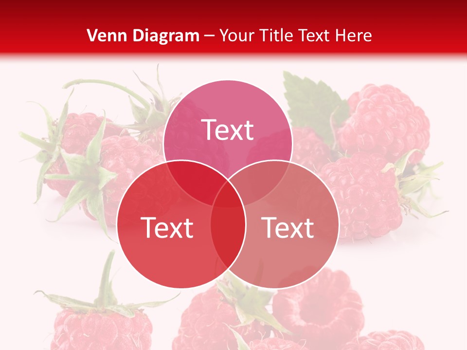 Organic Natural Plant PowerPoint Template