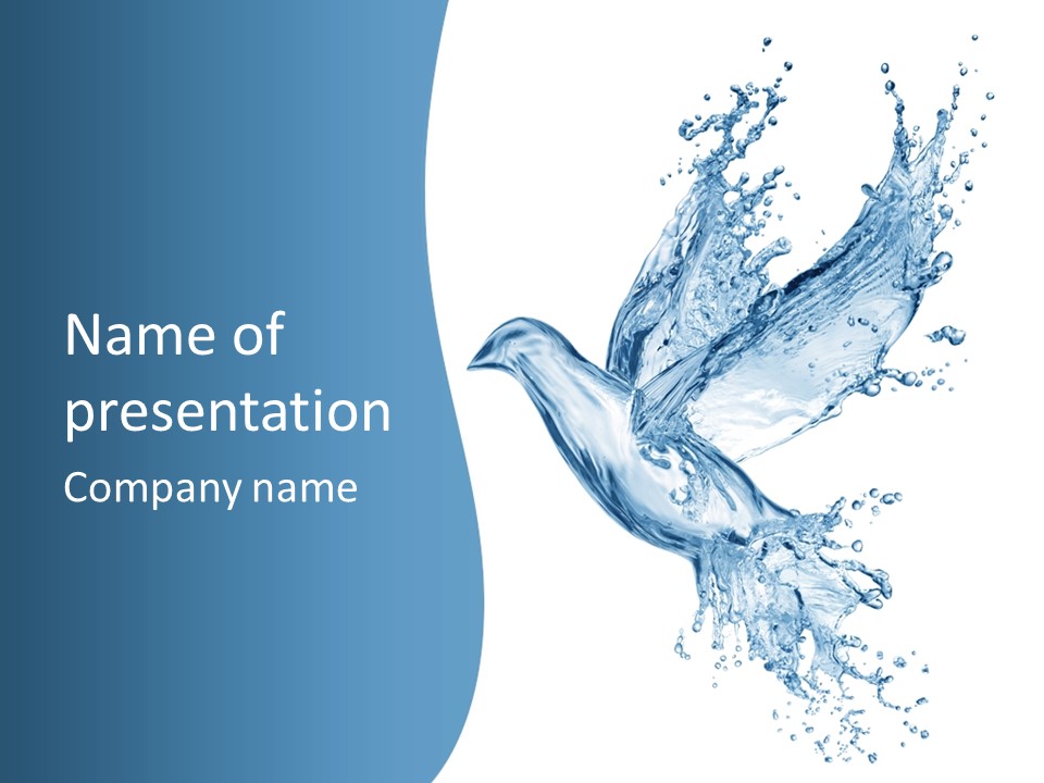 Splash Pigeon Fresh PowerPoint Template