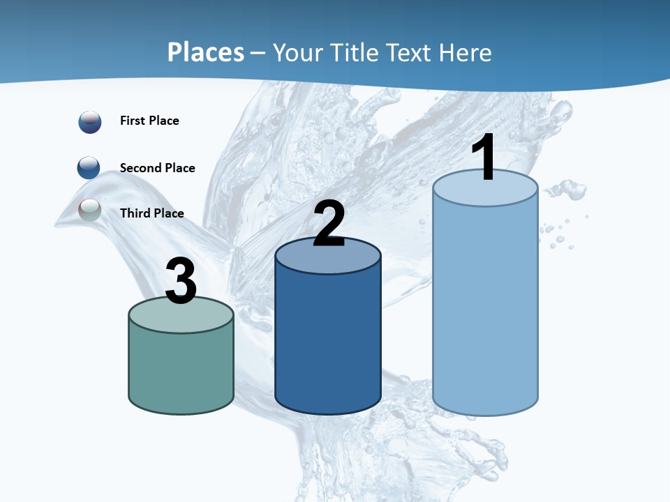 Splash Pigeon Fresh PowerPoint Template