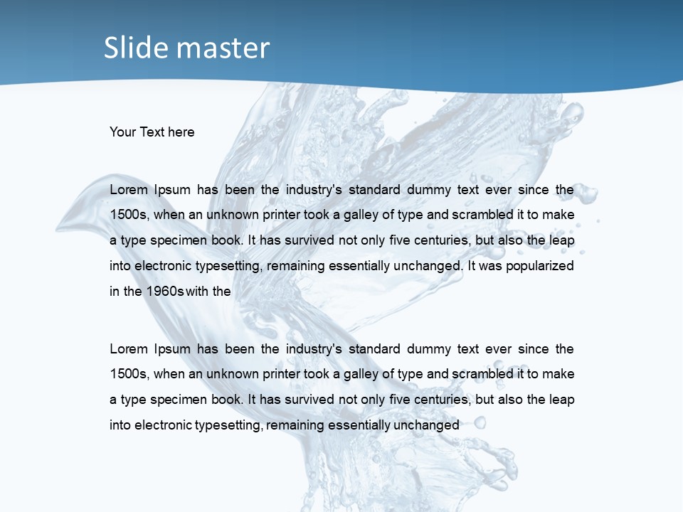 Splash Pigeon Fresh PowerPoint Template