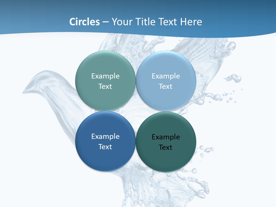 Splash Pigeon Fresh PowerPoint Template