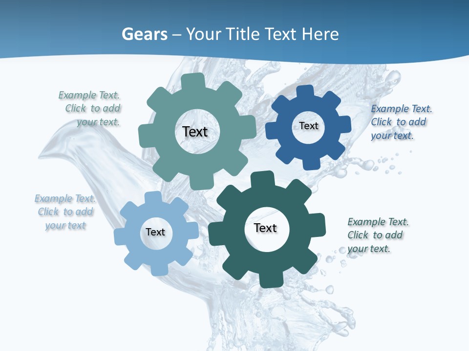 Splash Pigeon Fresh PowerPoint Template