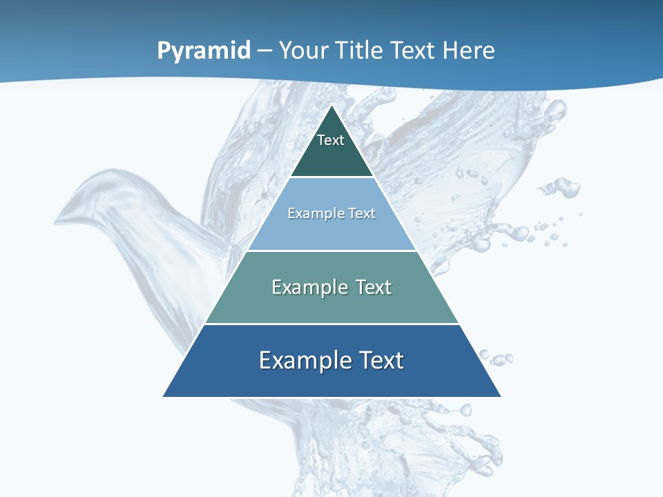 Splash Pigeon Fresh PowerPoint Template