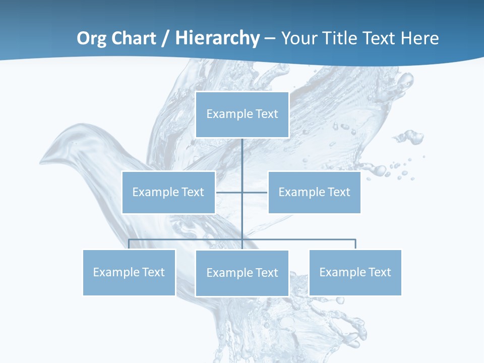 Splash Pigeon Fresh PowerPoint Template