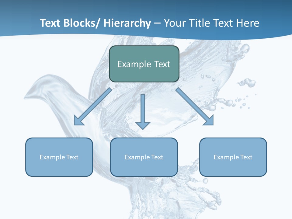 Splash Pigeon Fresh PowerPoint Template
