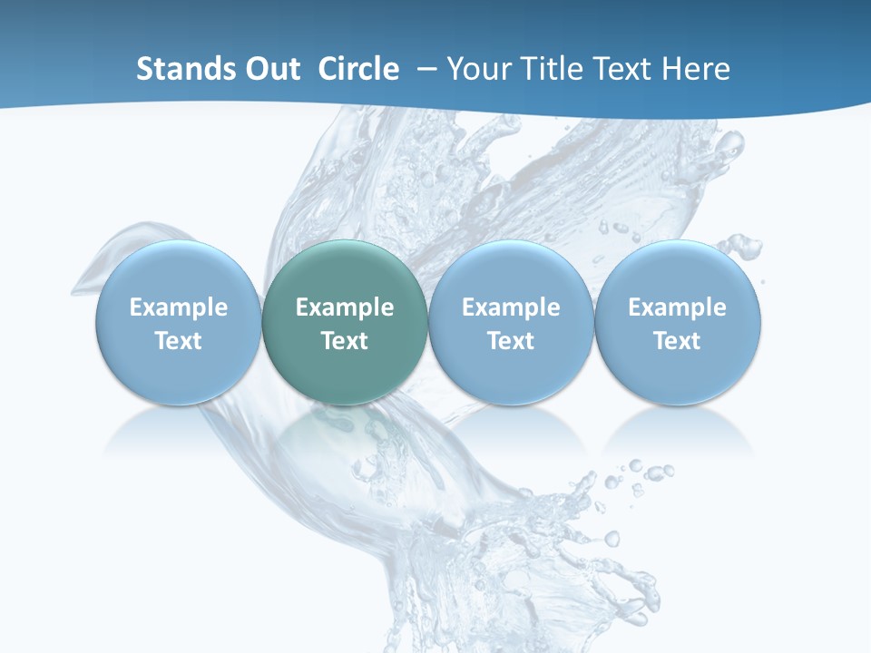 Splash Pigeon Fresh PowerPoint Template