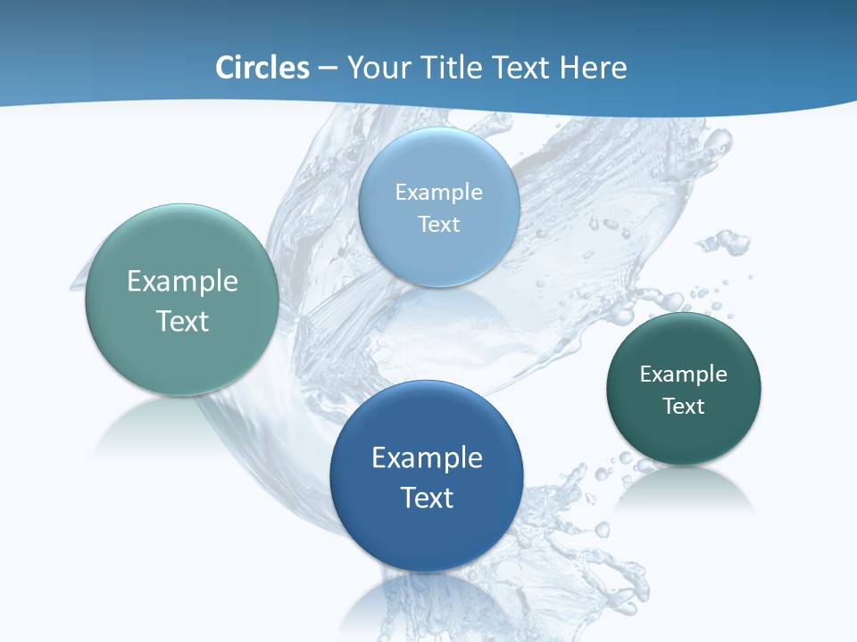 Splash Pigeon Fresh PowerPoint Template