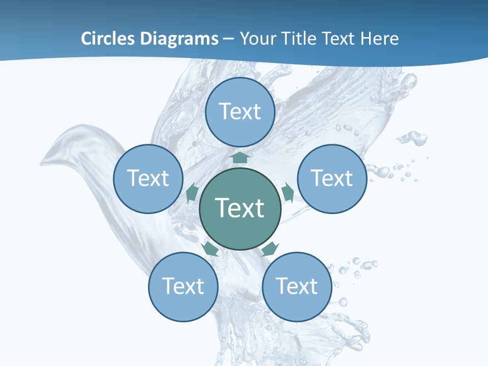 Splash Pigeon Fresh PowerPoint Template