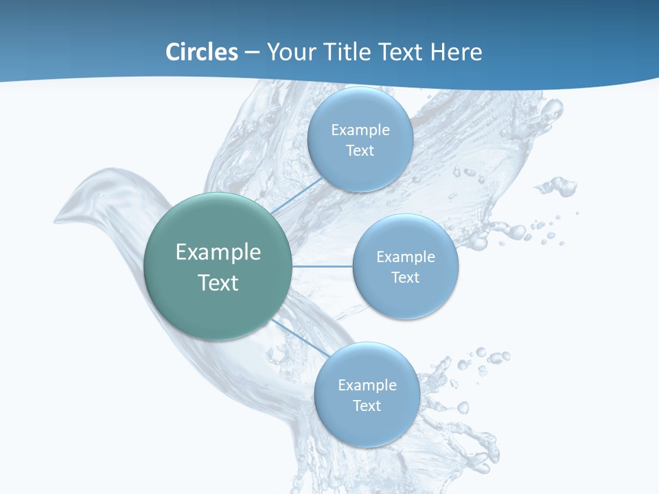 Splash Pigeon Fresh PowerPoint Template