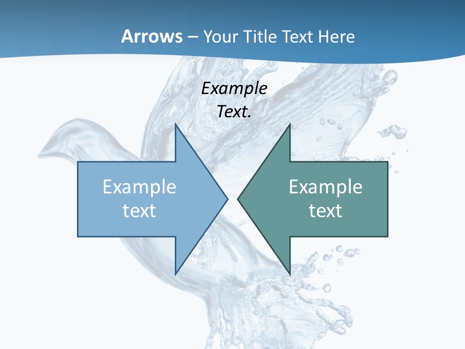 Splash Pigeon Fresh PowerPoint Template