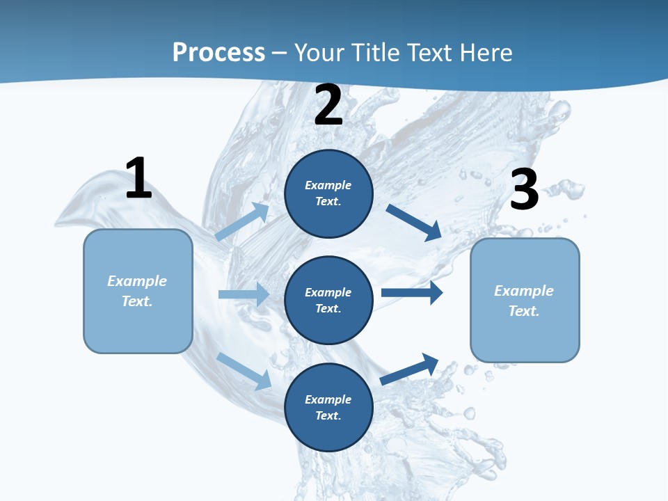 Splash Pigeon Fresh PowerPoint Template