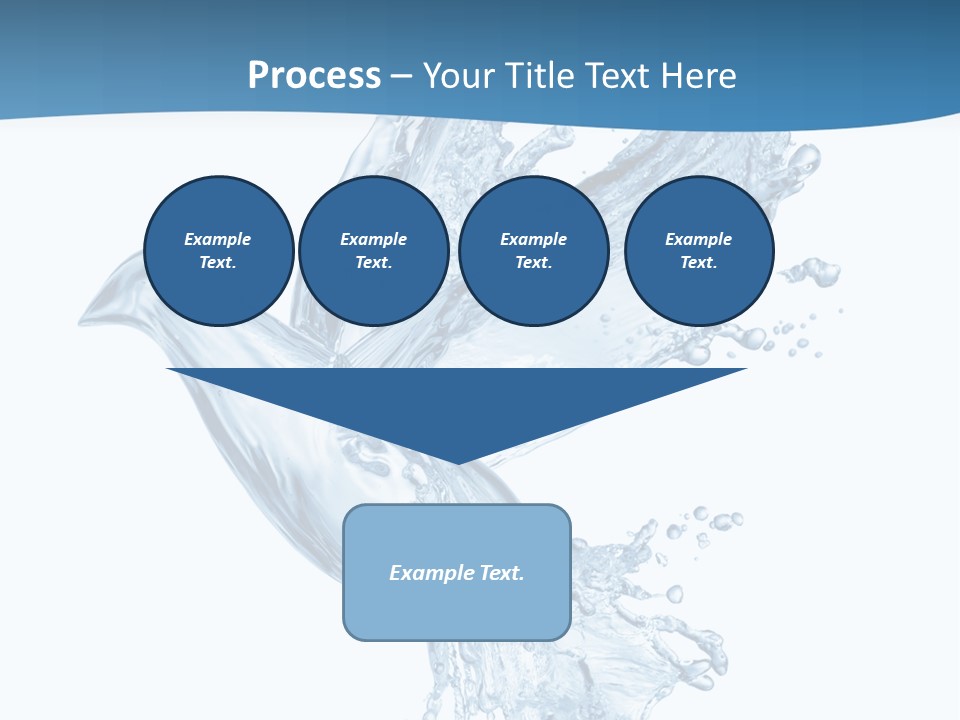 Splash Pigeon Fresh PowerPoint Template