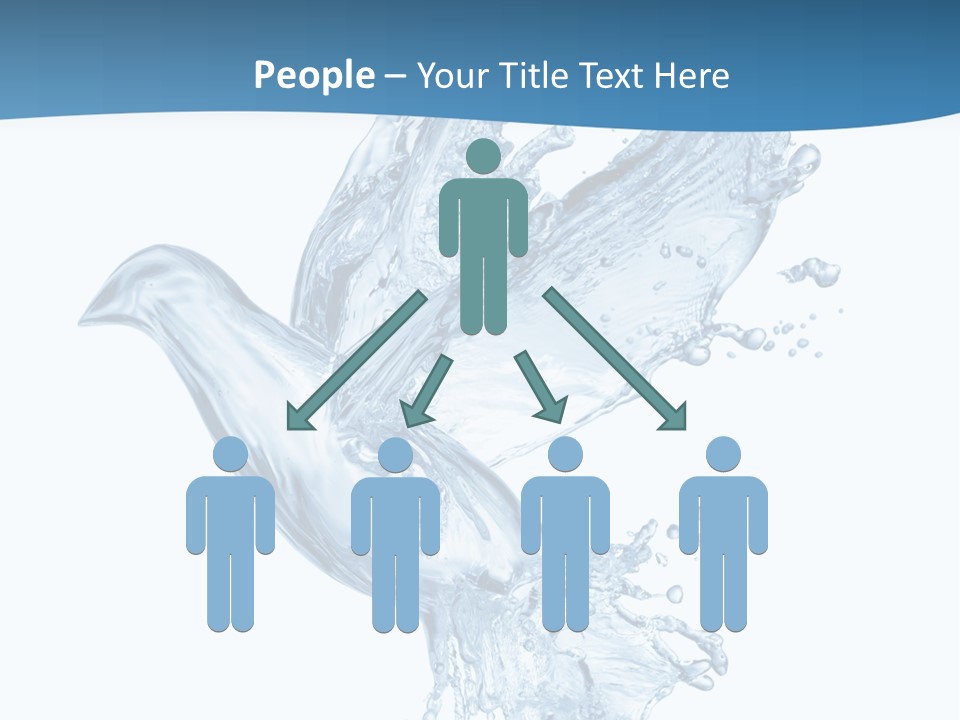 Splash Pigeon Fresh PowerPoint Template