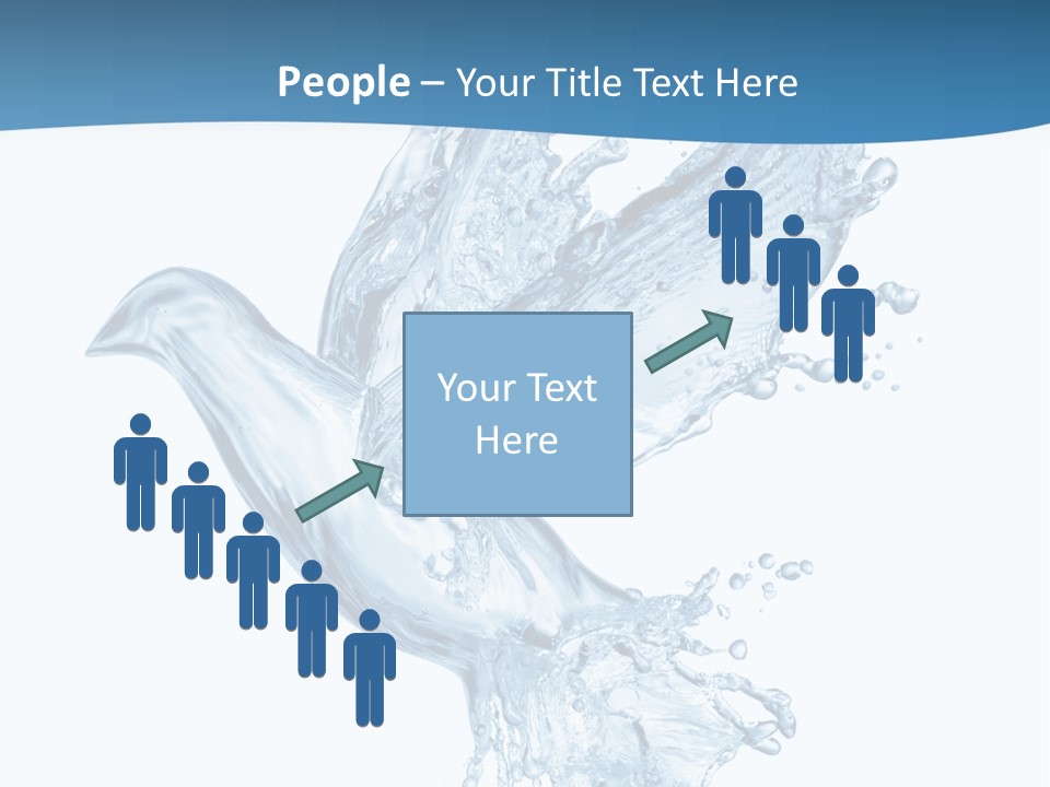 Splash Pigeon Fresh PowerPoint Template