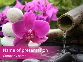 Luxury Natural Sauna PowerPoint Template