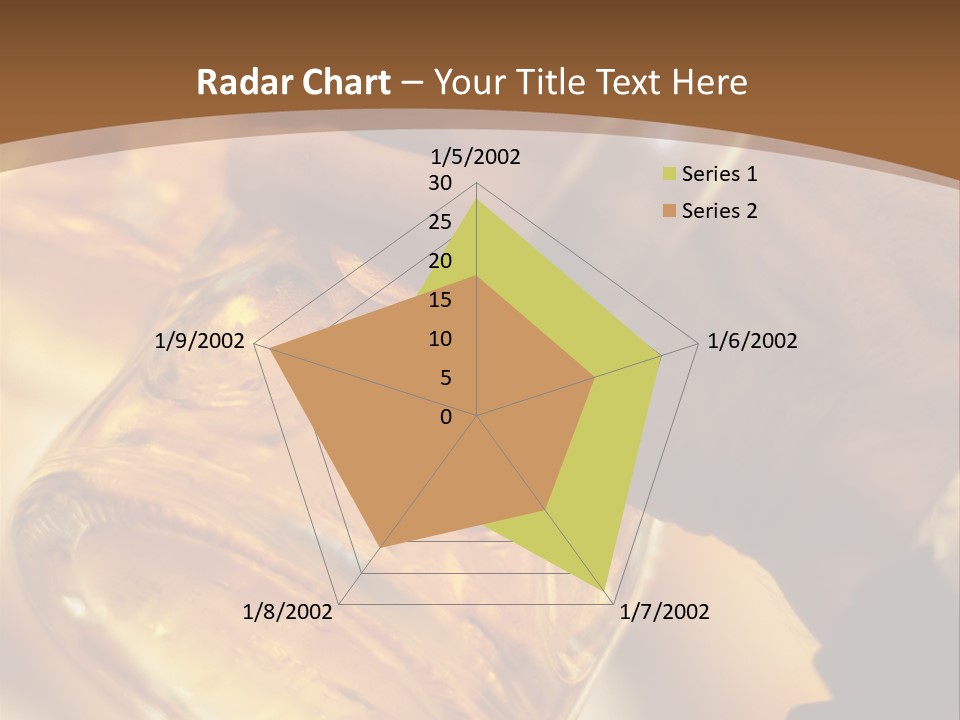 One Person National Cultures German Beer Festival PowerPoint Template