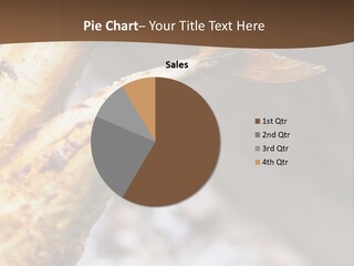 Animals Food & Drink Food And Drink PowerPoint Template