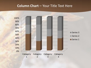 Animals Food & Drink Food And Drink PowerPoint Template