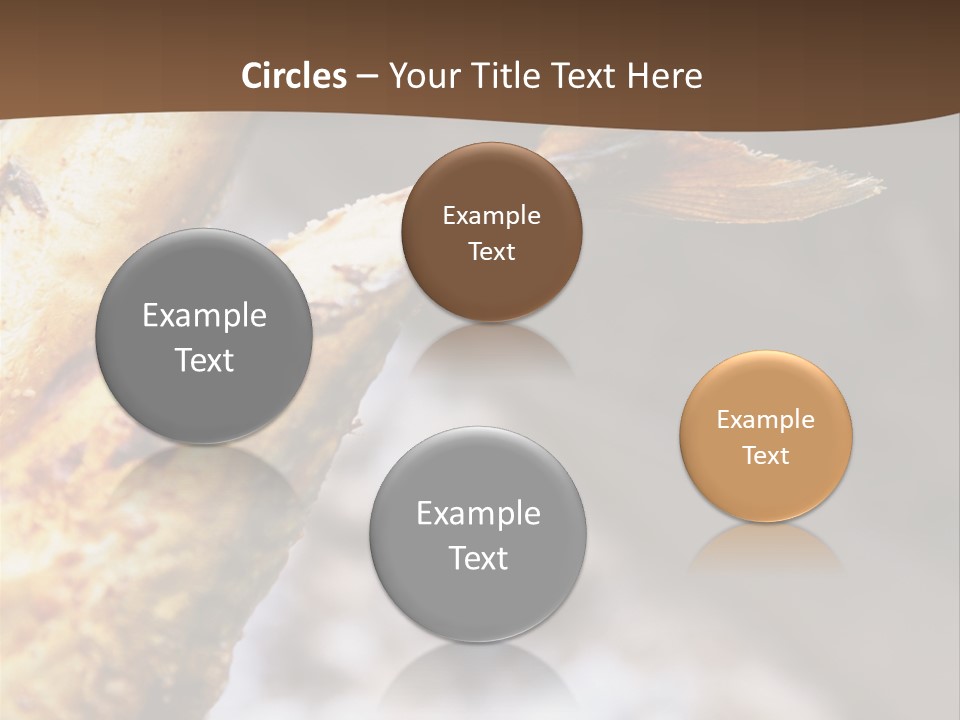 Animals Food & Drink Food And Drink PowerPoint Template