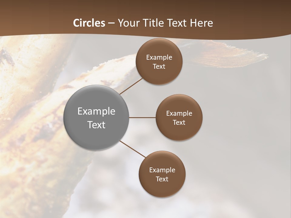 Animals Food & Drink Food And Drink PowerPoint Template