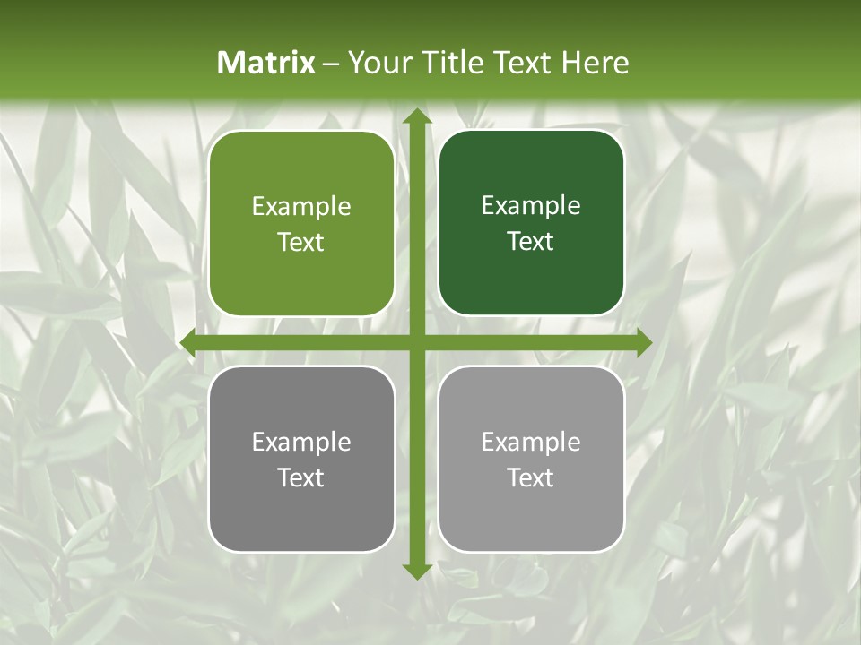 Hugs Amusement Park Rides Men PowerPoint Template