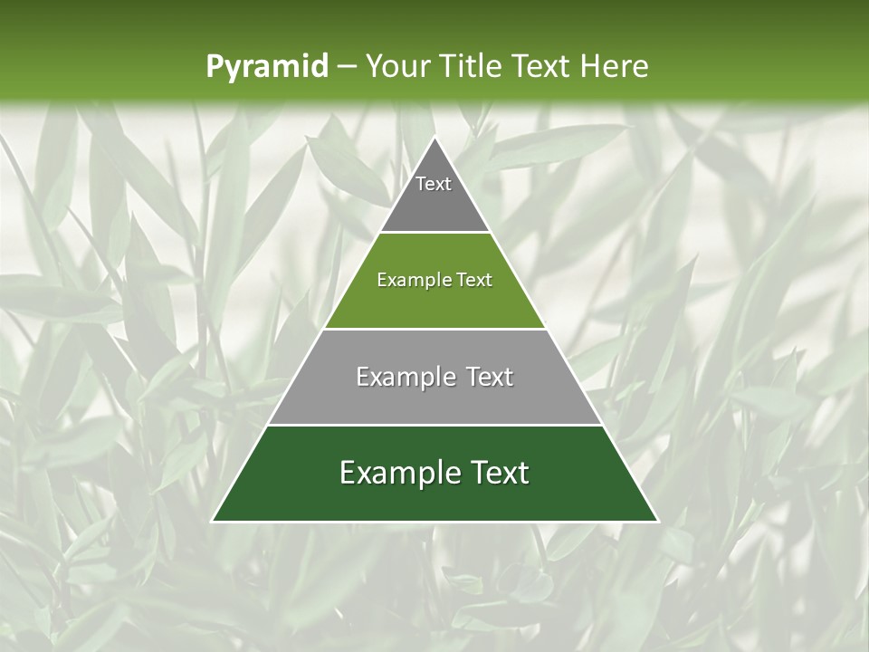 Hugs Amusement Park Rides Men PowerPoint Template