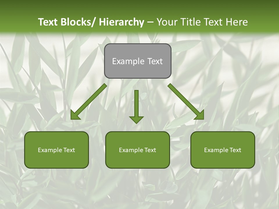 Hugs Amusement Park Rides Men PowerPoint Template