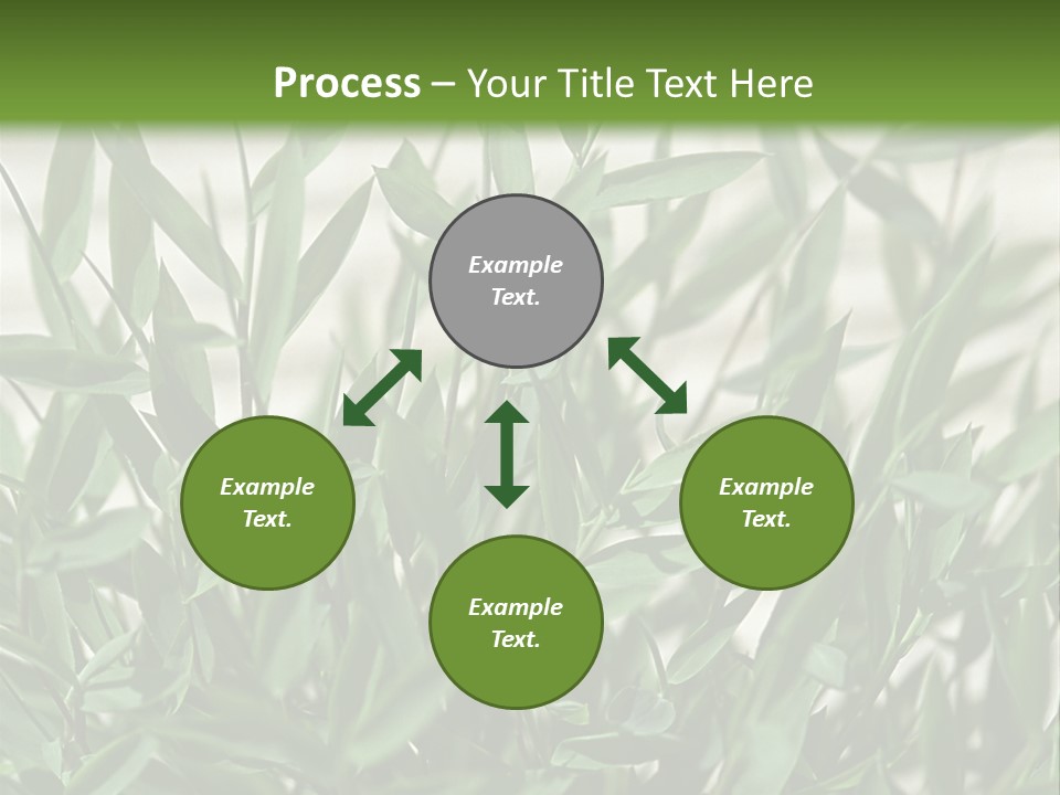 Hugs Amusement Park Rides Men PowerPoint Template